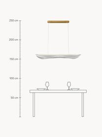 Velké závěsné LED svítidlo Cortina, Transparentní, zlatá, Š 120 cm, V 34 cm