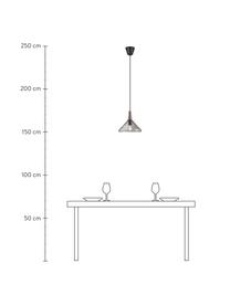 Kleine Pendelleuchte Nori aus Glas, Lampenschirm: Glas, Dekor: Holz, Baldachin: Metall, beschichtet, Grau, transparent, Ø 27 x H 25 cm