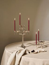 Świeca stołowa Nagel, 12 szt., Parafina, Burgundowy, W 18 cm