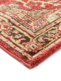 Tapis de couloir style oriental Alberto, Rouge, multicolore