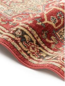 Tapis de couloir style oriental Alberto, Rouge, multicolore