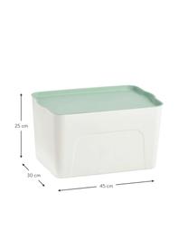 Caja Mintho, Plástico, Verde menta, An 45 x Al 25 cm