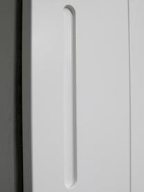 Kleiderschrank Luuk, Korpus: Kiefernholz, lackiert, Weiß, 115 x 218 cm