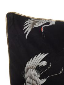 Cojín de terciopelo Bird, con relleno, Funda: terciopelo de poliéster, Negro, An 45 x L 45 cm