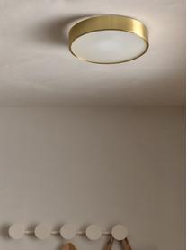 Plafondlamp Dante, Diffuser: glas, Goudkleurig, Ø 40 x H 7 cm
