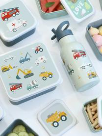 Kinder-Lunchboxen Vehicles, 4er-Set, Kunststoff, Salbeigrün, Graublau, Mehrfarbig, Set mit verschiedenen Grössen