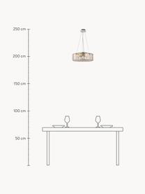 Pendelleuchte Recinto, Lampenschirm: Glas, Transparent, Silberfarben, Ø 40 x H 26 cm