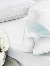 Cuscino medio con piuma d'oca Premium, Bianco con fascia di stoffa in raso turchese, Larg. 40 x Lung. 80 cm