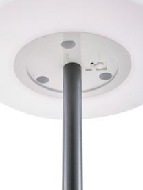Mobiele dimbare outdoor vloerlamp Placido, Lampvoet: gecoat metaal, Lampenkap: kunststof, Wit, zwart, Ø 31 x H 150 cm