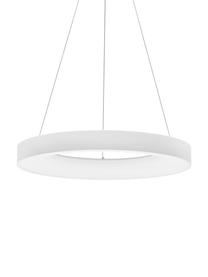 Dimmbare LED-Pendelleuchte Rando in Weiss, Lampenschirm: Aluminium, beschichtet, Baldachin: Aluminium, beschichtet, Weiss, Ø 60 x H 6 cm