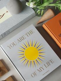Álbum de fotos You Are The Sunshine, Funda: tela de algodón, cartón g, Gris claro, amarillo sol, An 33 x Al 27 cm