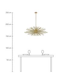 Grosse Design Pendelleuchte Urchin, Lampenschirm: Metall, gebürstet, Baldachin: Metall, gebürstet, Goldfarben, Ø 101 x H 50 cm