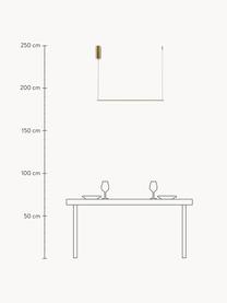 Stmívatelné závěsné LED svítidlo se změnou barvy a dálkovým ovládáním Halo, Potažený hliník, Zlatá, Š 80 cm, V 2 cm