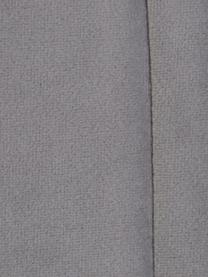 Testiera imbottita in velluto grigio Adrio, Rivestimento: 100% velluto di poliester, Struttura: legno, metallo, Velluto grigio, Larg. 160 x Alt. 64 cm
