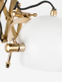 Wandlamp Sarana met stekker, Lampenkap: gepoedercoat metaal, Frame: metaal, Messingkleurig, wit, B 17 x D 36-64 cm