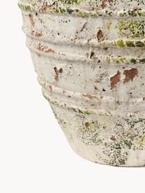 Cache-pot en béton Porto, haut. 52 cm, Béton, Blanc cassé, terracotta, vert, Ø 36 x haut. 52 cm