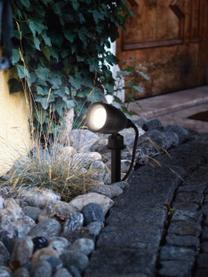 Lampada sentiero a LED da esterno con spina Nema, Lampada: materiale sintetico, Nero, Larg. 12 x Alt. 19 cm