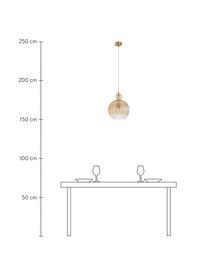 Lampada a sospensione in vetro Odell, Paralume: vetro, Baldacchino: metallo, Ottonato, ambrato, Ø 28 x Alt. 36 cm