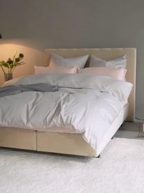 Letto Boxspring Premium Lacey, Materasso: a molle insacchettate a 7, Piedini: legno di faggio massiccio, Beige, 200 x 200