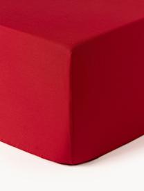 Boxspring hoeslaken Elsie, katoen perkal, Weeftechniek: perkal Draaddichtheid 200, Rood, B 90 x L 200 cm, H 35 cm