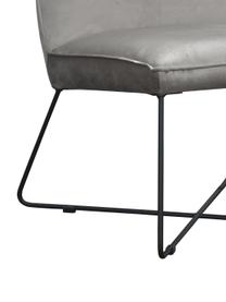 Sedia imbottita in velluto grigio Victor, Rivestimento: velluto (100% poliestere), Struttura: legno, Gambe: metallo, Velluto grigio, nero, Larg. 75 x Prof. 75 cm