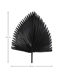 Fiore artificiale nero Palmenblatt, Poliestere, Nero, Larg. 40 x Alt. 85 cm