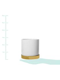 Übertopf Elin aus Steingut, Steingut, Topf: WeissUntersetzer: Gold, Ø 14 x H 14 cm