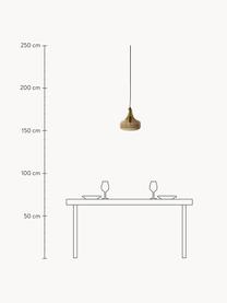 Kleine Pendelleuchte Yuser aus gefärbtem Glas, Lampenschirm: Glas, Dekor: Metall, beschichtet, Greige, Ø 26 x H 23 cm