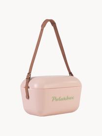 Box refrigerante POL-Classic, varie misure, Rosa chiaro, Larg. 45 x Alt. 30 cm