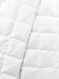 Couette matelassée pur duvet Premium, légère, Légère, larg. 200 x long. 200 cm