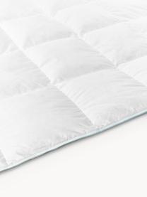 Couette matelassée pur duvet Premium, légère, Légère, larg. 200 x long. 200 cm