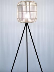 Lampadaire trépied Bordesley, Beige clair, noir, haut. 139 cm