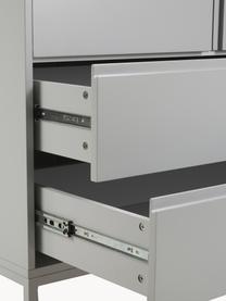 Kleiderschrank Ikaro, 2-türig, Korpus: Mitteldichte Holzfaserpla, Einlegeböden: Spannplatte, melaminbesch, Füße: Metall, pulverbeschichtet, Grau, B 110 x H 200 cm