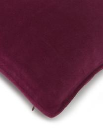 Funda de cojín de terciopelo Dana, 100% terciopelo de algodón, Rojo vino, An 40 x L 40 cm