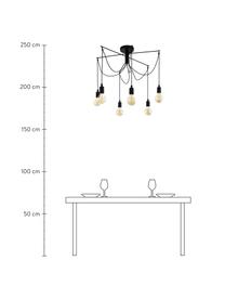 Große Pendelleuchte Musara, Baldachin: Metall, lackiert, Schwarz, Ø 79 x H 85 cm