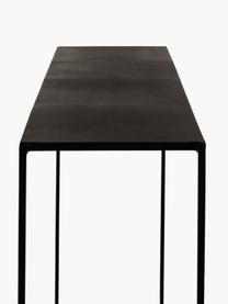 Kovový konzolový stolek Expo, Kov s práškovým nástřikem, Černá, Š 110 cm, H 25 cm