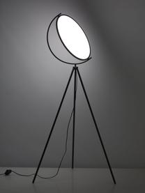 LED-Tripod Stehlampe Renitale, Diffusorscheibe: Kunststoff, Schwarz, Ø 43 x H 153 cm