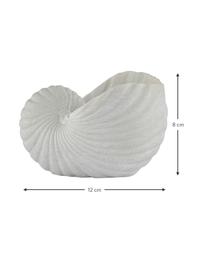 Kleines Deko-Objekt Serafina Shell, Kunststoff, Weiss, B 12 x H 8 cm