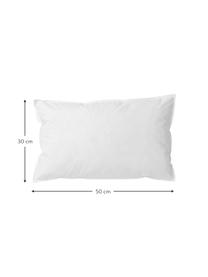 Relleno cojín Natur, Funda: 100% algodón impermeable, Blanco, An 30 x L 50 cm