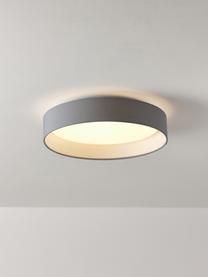 Stropné LED svietidlo Helen, Sivá, Ø 35 x V 7 cm