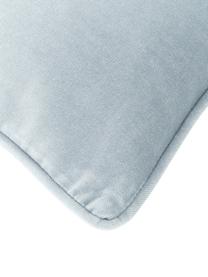 Federa cuscino divano in velluto azzurro Dana, 100% velluto di cotone, Azzurro, Larg. 50 x Lung. 50 cm