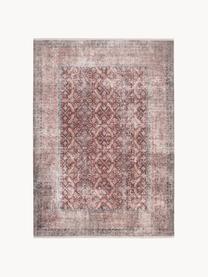 Tapis d'intérieur/d'extérieur avec motif ornemental Maurea, 70 % coton, 30 % polyester, Terracotta, larg. 80 x long. 150 cm (taille XS)