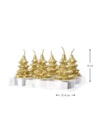 Velas tealight Hannu, 6 uds., Cera, Dorado, Ø 4 x Al 6 cm