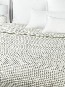 Colcha con estructura gofre Allie, 100% algodón

El material utilizado para este producto ha sido probado contra sustancias nocivas y está certificado según el STANDARD 100 por OEKO-TEX®, 6457CIT, CITEVE., Off White, verde oliva, An 230 x L 250 cm (para camas de 180 x 200 cm)