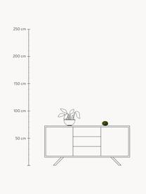 Mobiel LED tafellamp Soft Spot, dimbaar, Lamp: kunststof, Donkergroen, semi-transparant, Ø 11 x H 7 cm