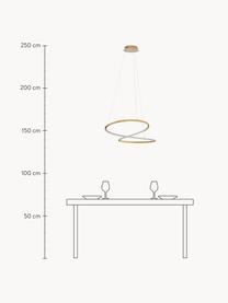 Lampada a sospensione grande con luce regolabile Girsh, Dorato, Ø 60  x A 18 cm