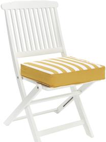 Cuscino sedia alto a righe color giallo/bianco Timon, Rivestimento: 100% cotone, Giallo & bianco, rigato, Larg. 40 x Lung. 40 cm