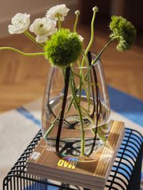 Skleněná váza Kira, V 26 cm, Sklo, Transparentní, černá, Š 19 cm, V 26 cm