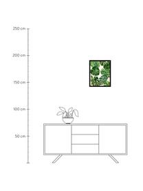 Zarámovaný digitální tisk Palm Tree II, Více barev, Š 40 cm, V 50 cm