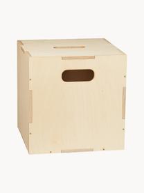 Holz-Aufbewahrungsbox Cube, Birkenholzfurnier

Dieses Produkt wird aus nachhaltig gewonnenem, FSC®-zertifiziertem Holz gefertigt., Helles Holz, B 36 x T 36 cm